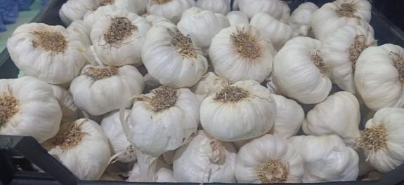 Public product photo - We are  ( Kemet farms )  here  in Egypt 
we export all agricultural crops with high quality .
Fresh_garlic
● we can Delivery your request for any country
● Grade A
● packing : 10  kg per bag
● for Orders please send your message call Us +201271817478
● Export  manager
mrs/ Donia Mostafa
